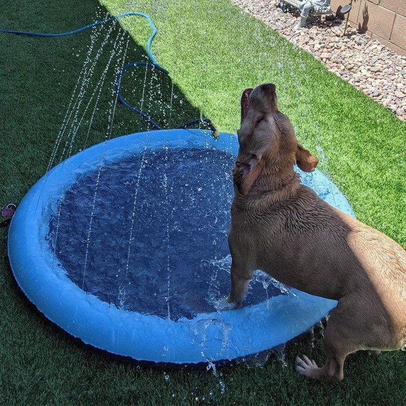 LC Pad Sprinkler de água para cães Sprinkler de chuveiro para animais de estimação PVC brinquedos para animais de estimação Pad Sprinkler para cães