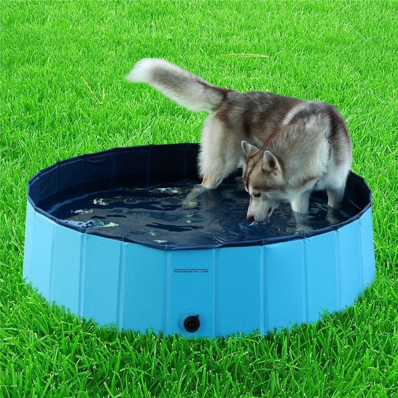 Ferramenta de limpeza Tubinha portátil de cães de 120 cm Para casa Piscina dobrável para animais de estimação
