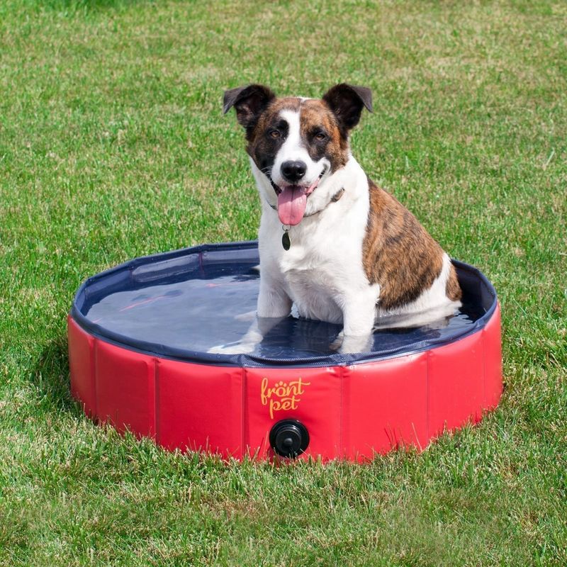 Ferramenta de limpeza Tubinha portátil de cães de 120 cm Para casa Piscina dobrável para animais de estimação